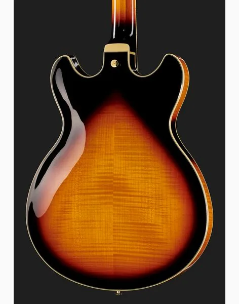 Ibanez AS113-BS, yksityiskohta 5